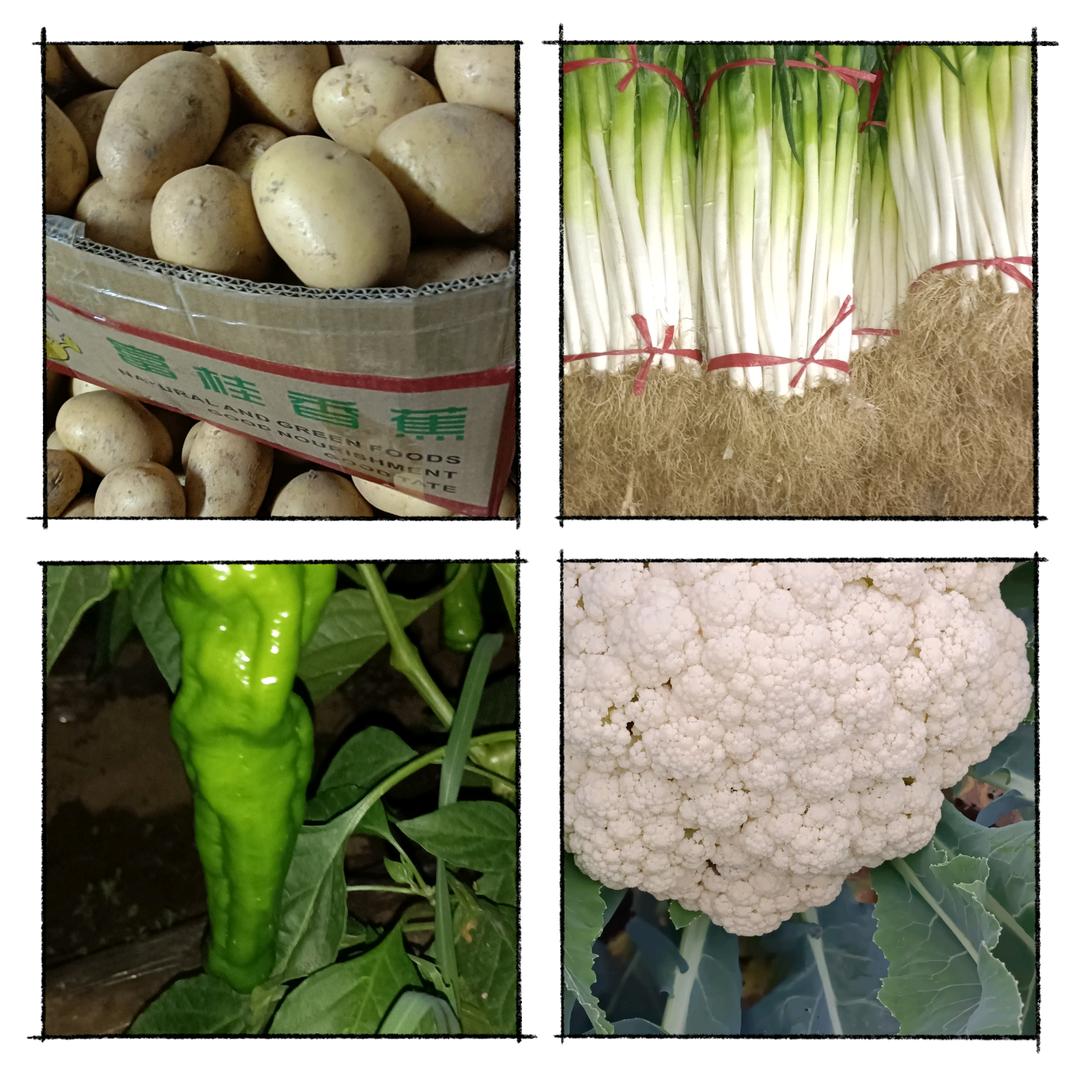 腾飞蔬菜种植户