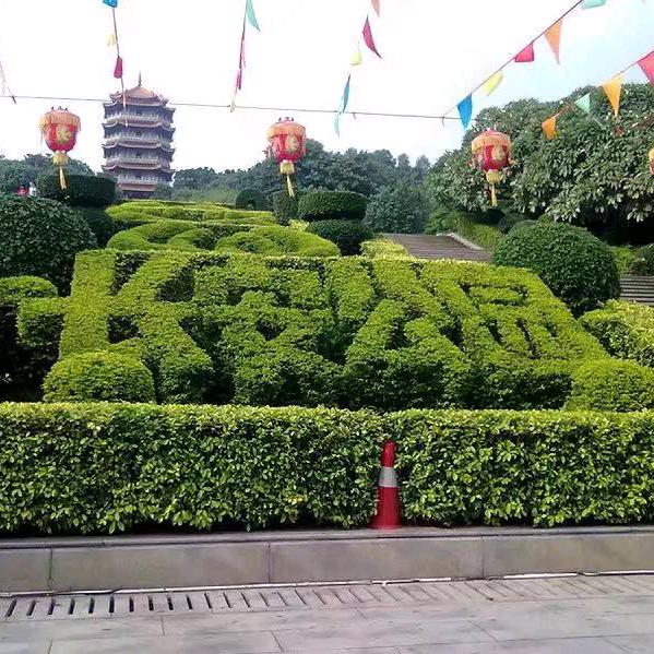 前奏一响