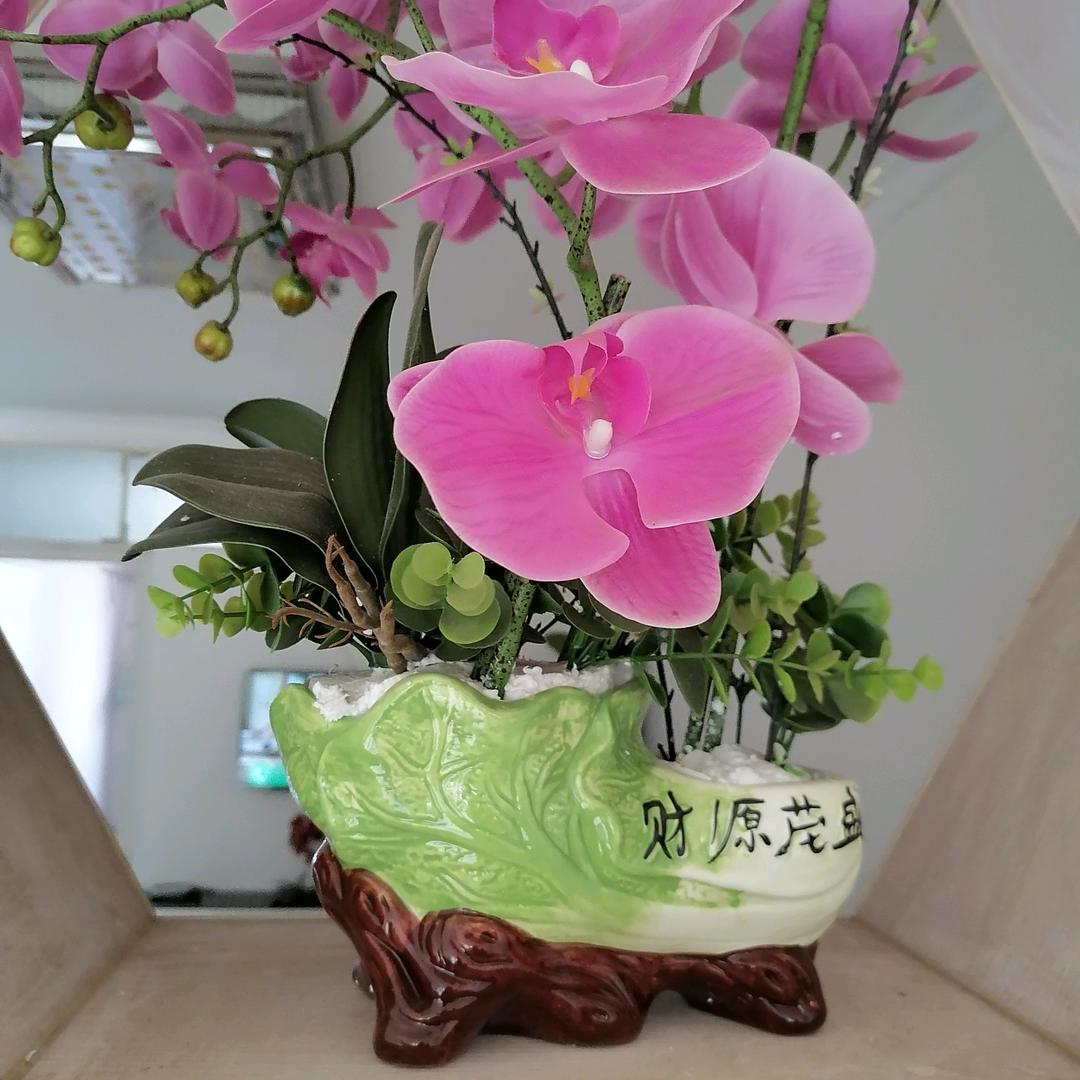 老何