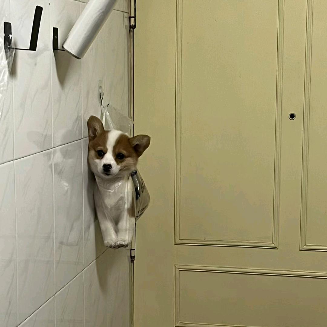 ........
