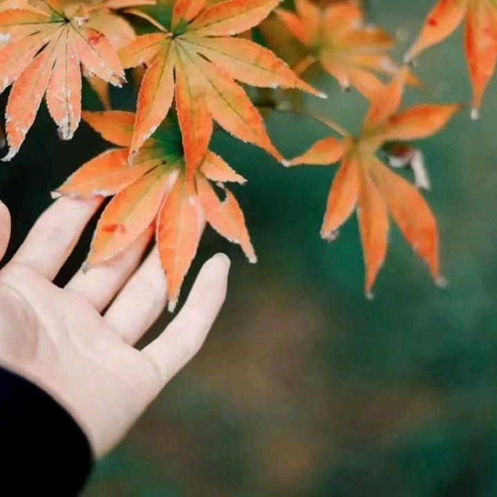 真想有个幸福家