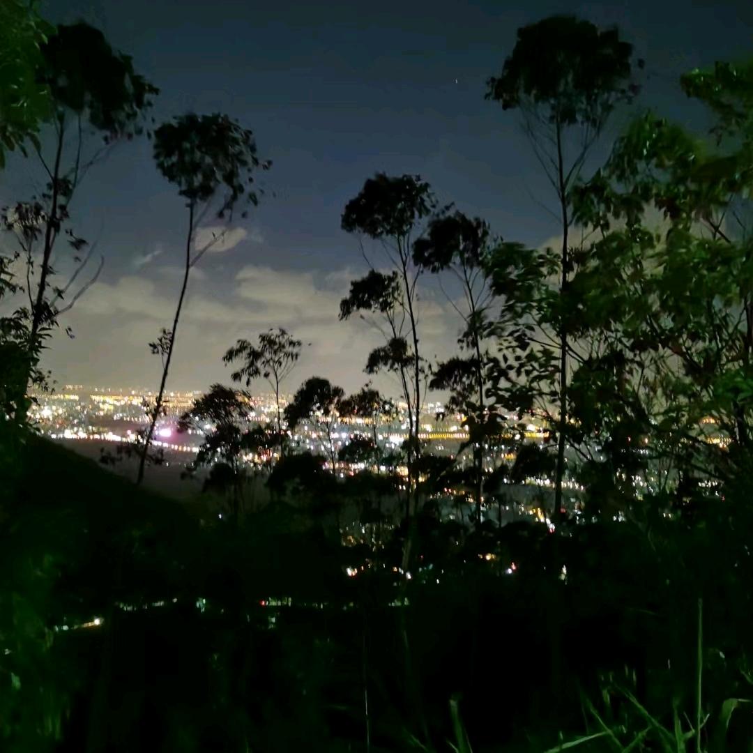 如水年华
