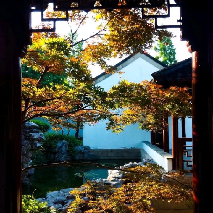 菏禾叶
