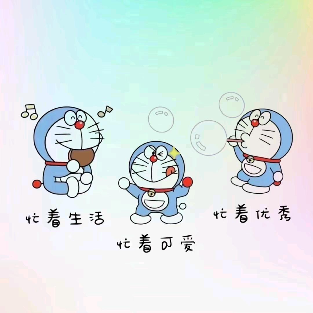 66。