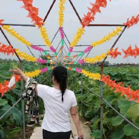 魏来可期每一天