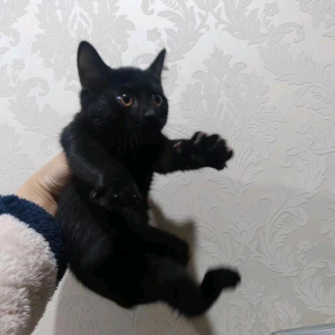 ❤️.