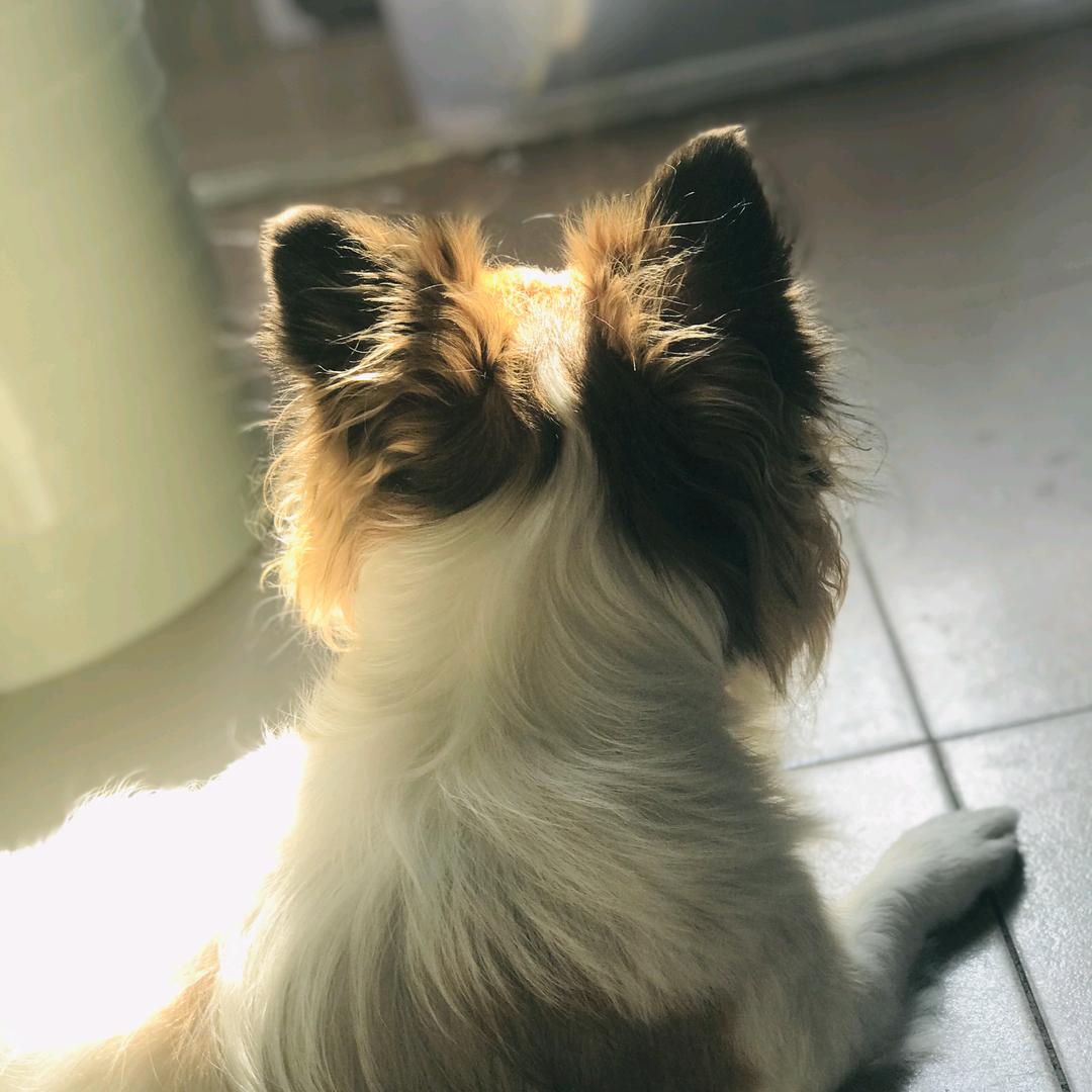 杨漂亮是我的宝