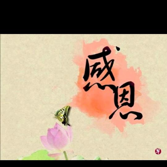 oo233336195头像