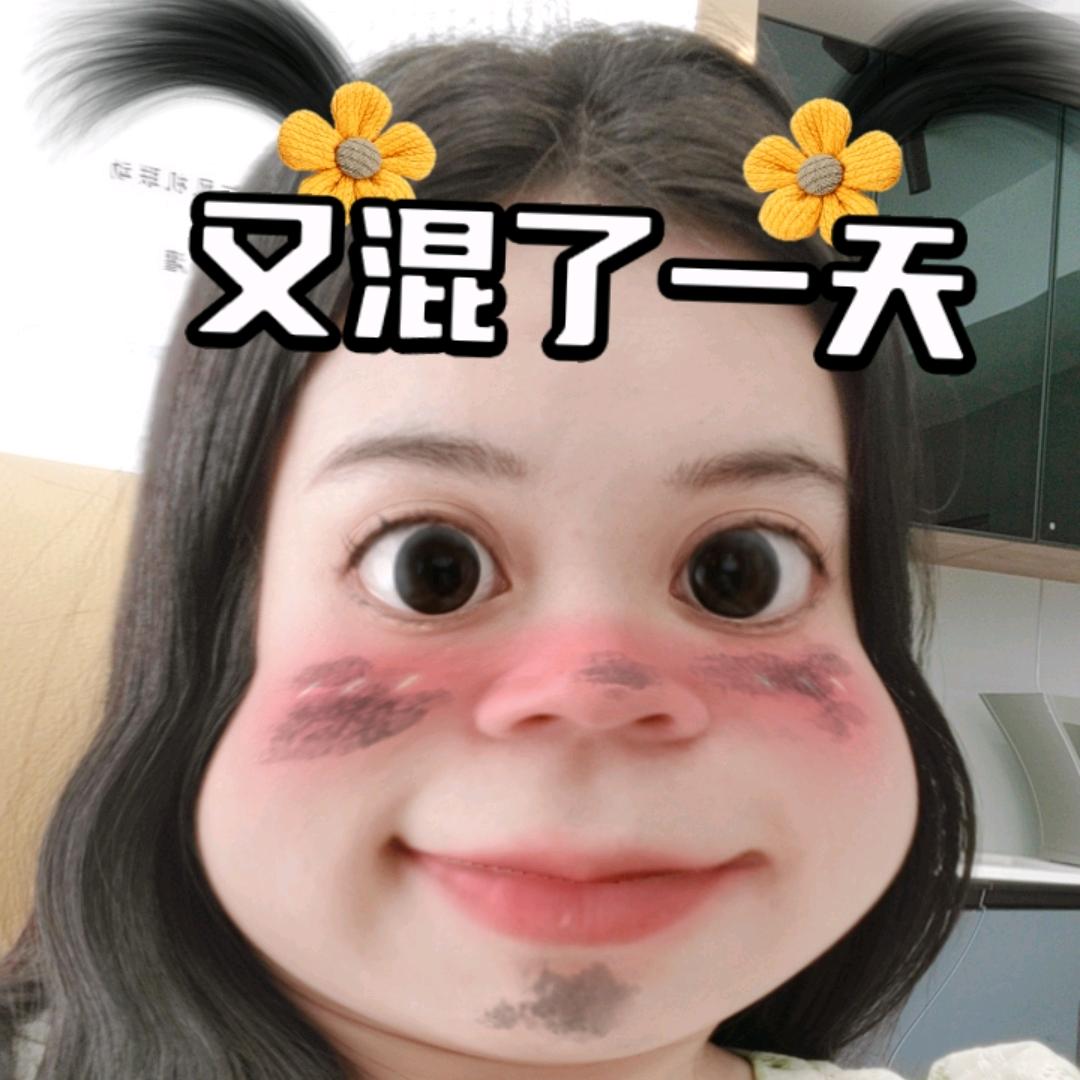 美大集成灶勐腊店
