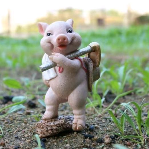 莫急，等风来！