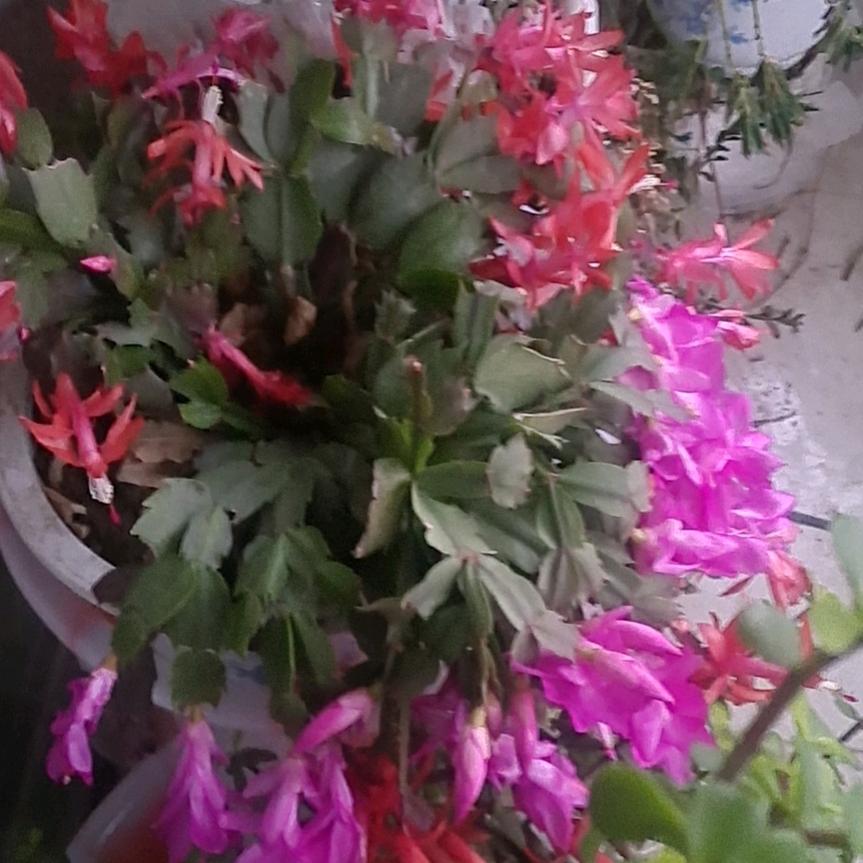 雨后彩虹280018751