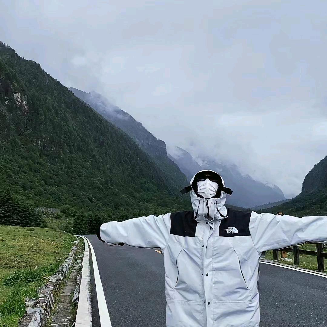 迎风直上