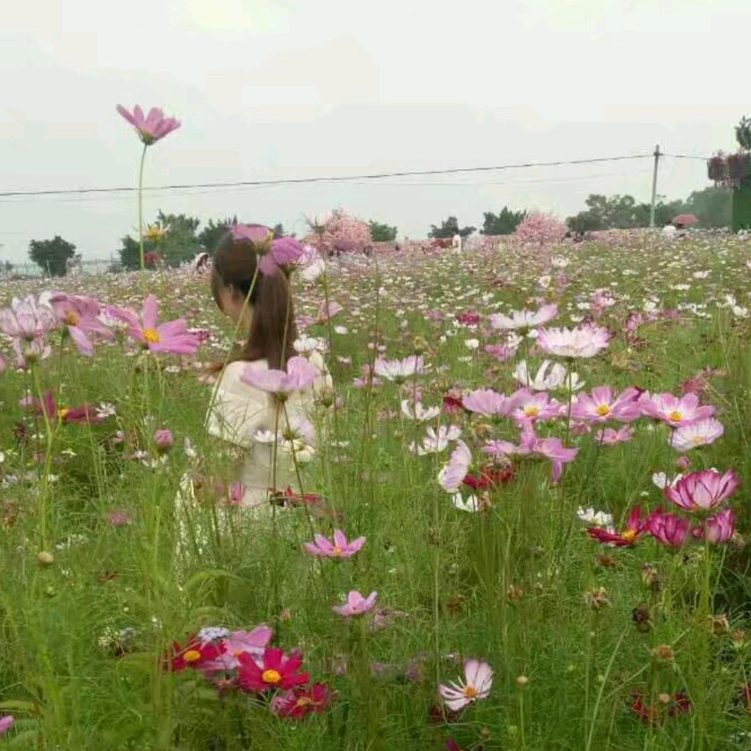 中盛陶瓷  家琪