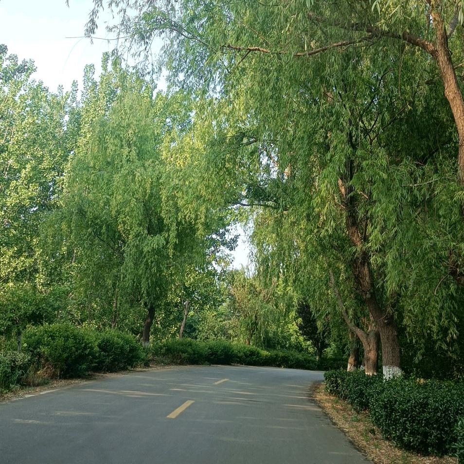 昨天 今天 明天 ，