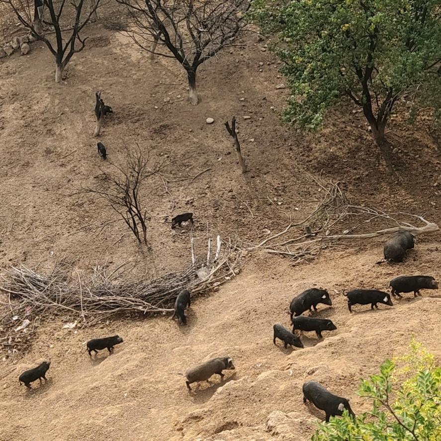 蓝色天空⊙ω⊙