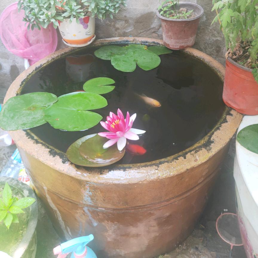 五彩缤纷