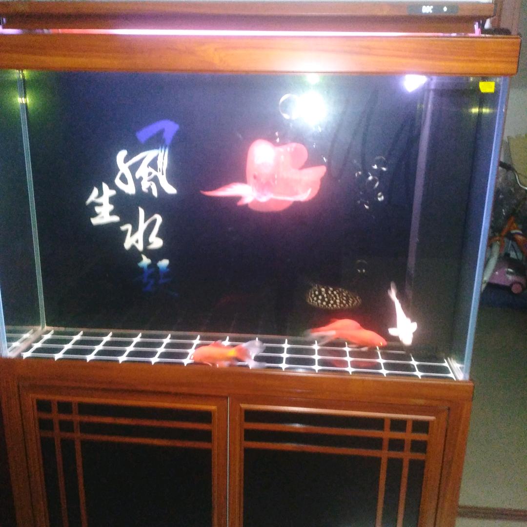 人生慢步