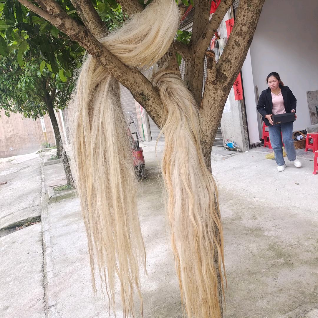 三洞（潘春翔）