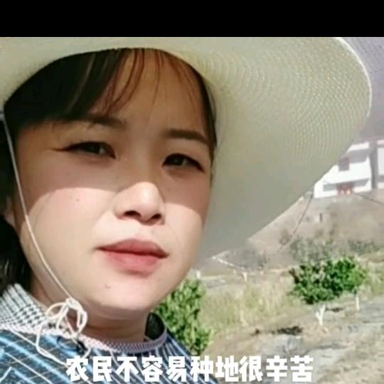 乡村橙姐