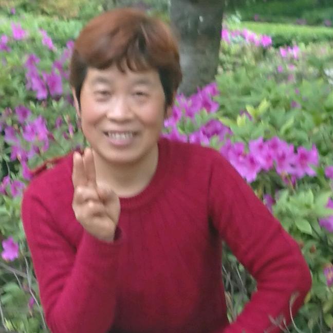 扬州梅梅