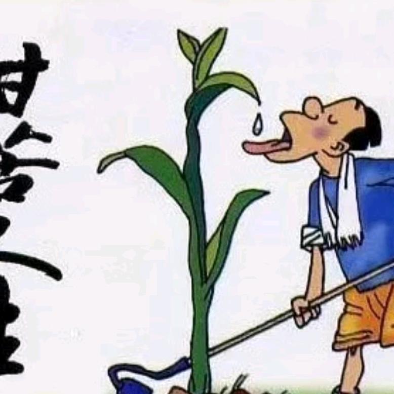 阿涛哥