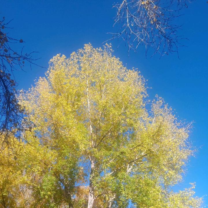 潘大婷婷婷婷婷婷