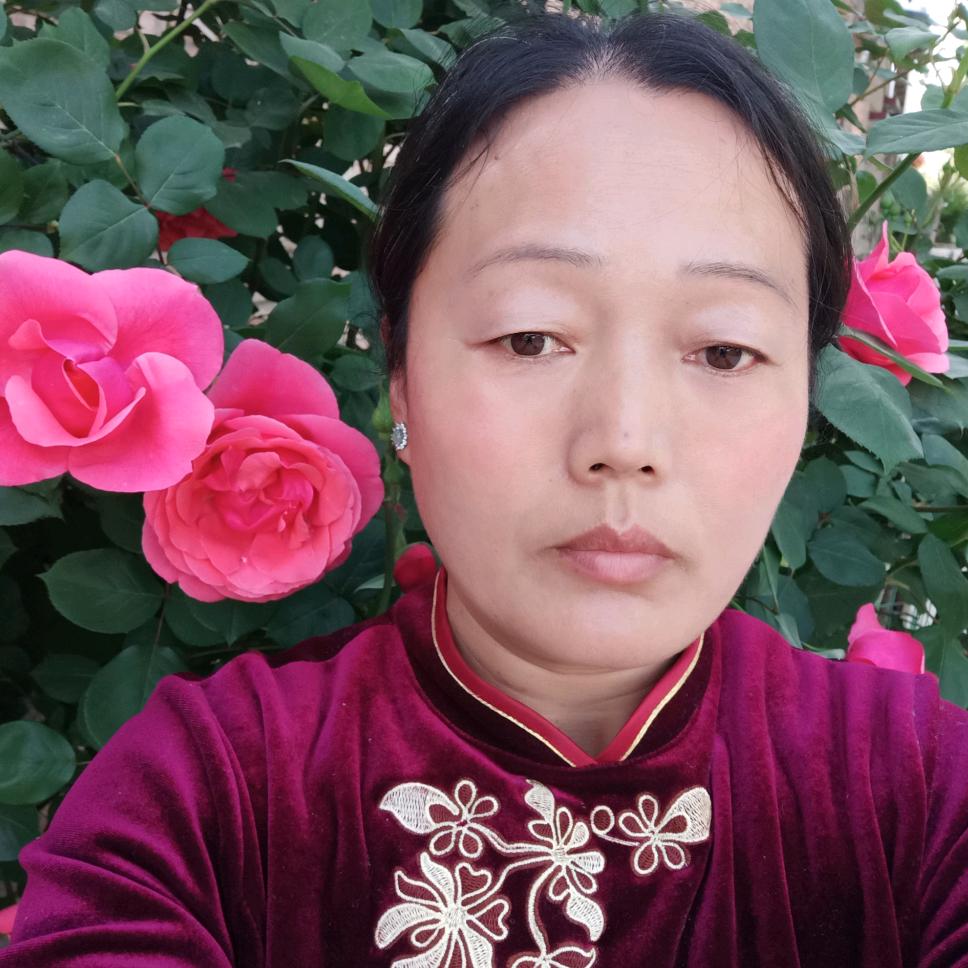 刘秀梅