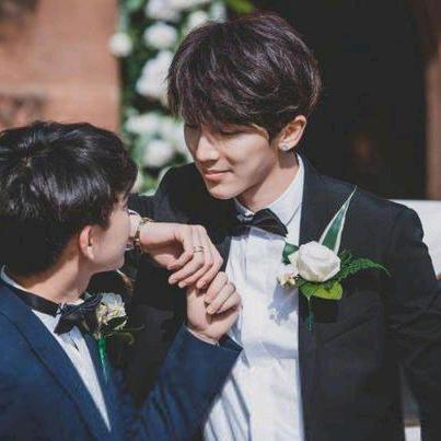 守护心爱的王子