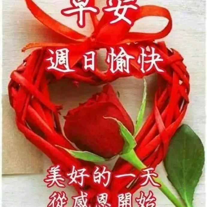 红颜知己