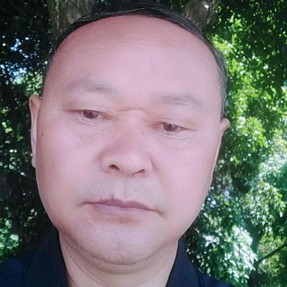 熊书龙
