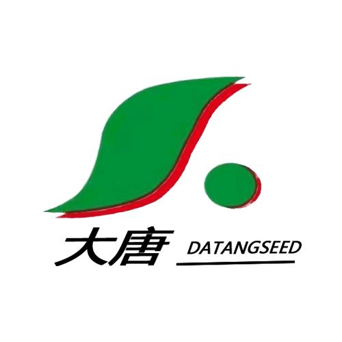 大唐种业