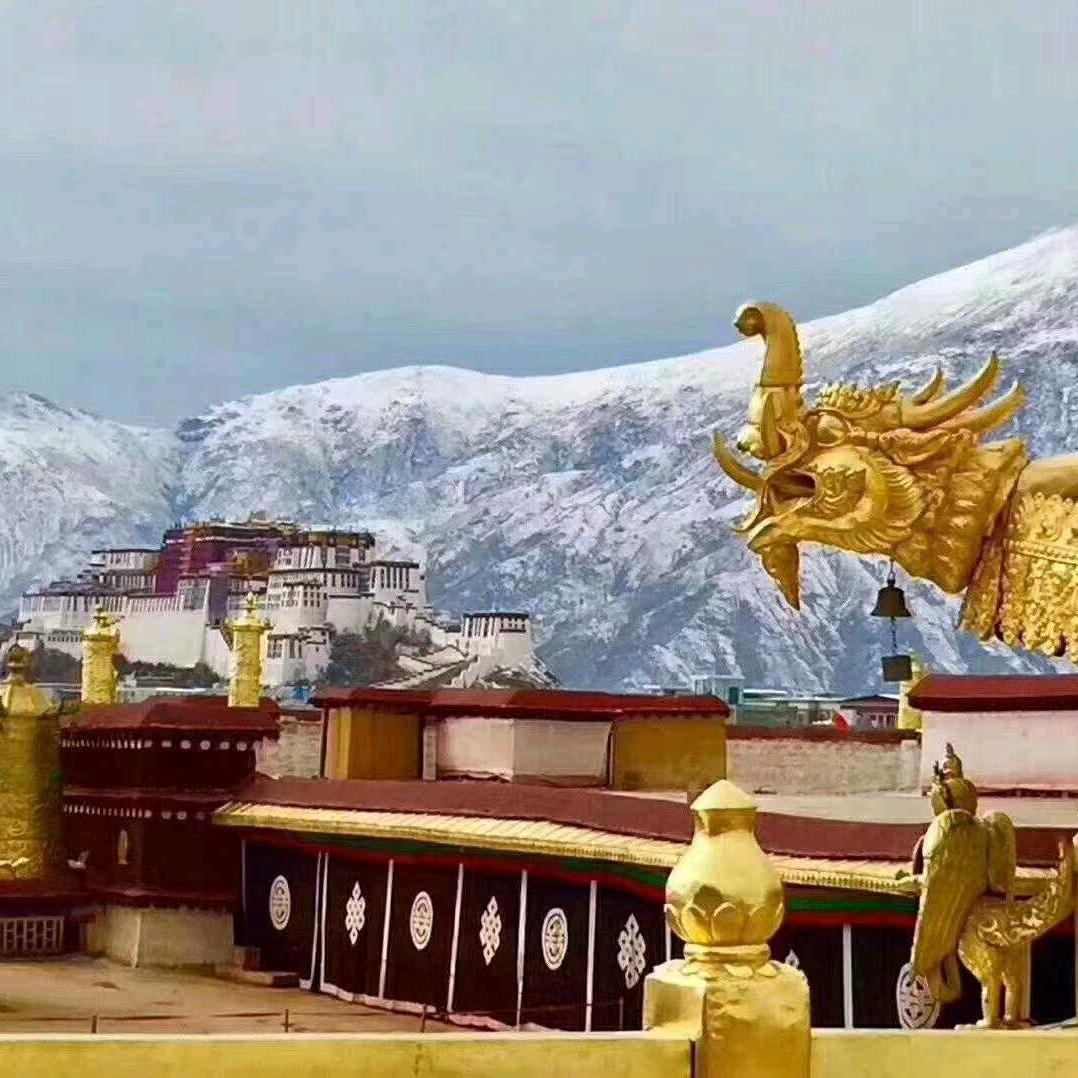 协昂_ ...萨拉康萨