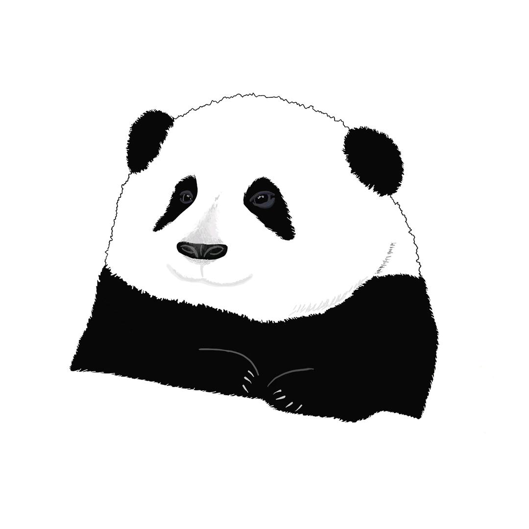熊猫果赖