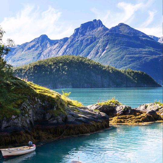 每当孤独我回首