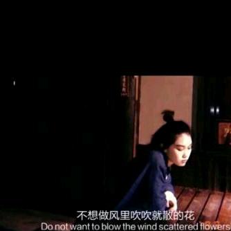 🐝subtitle