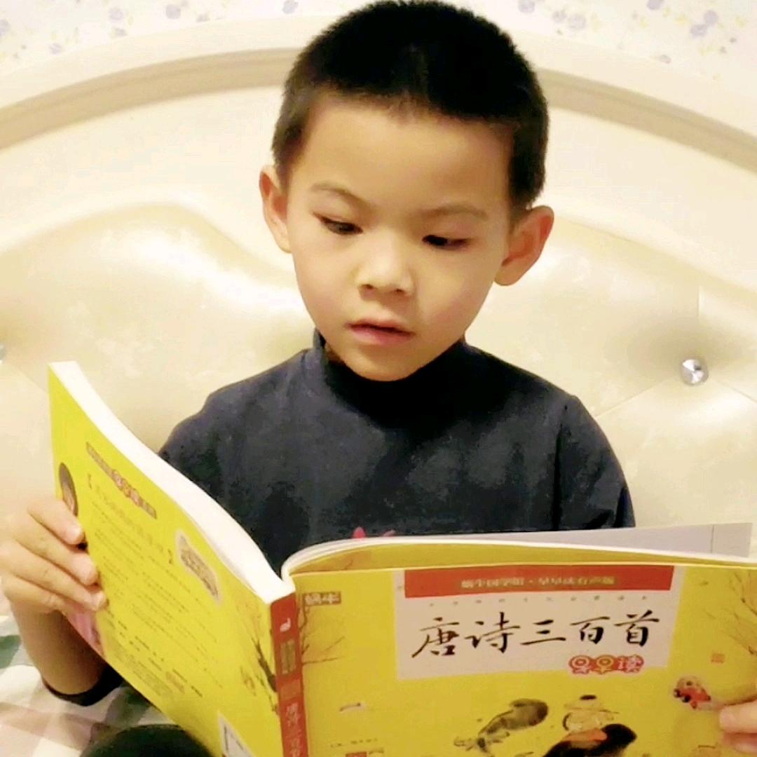 桃桃读诗