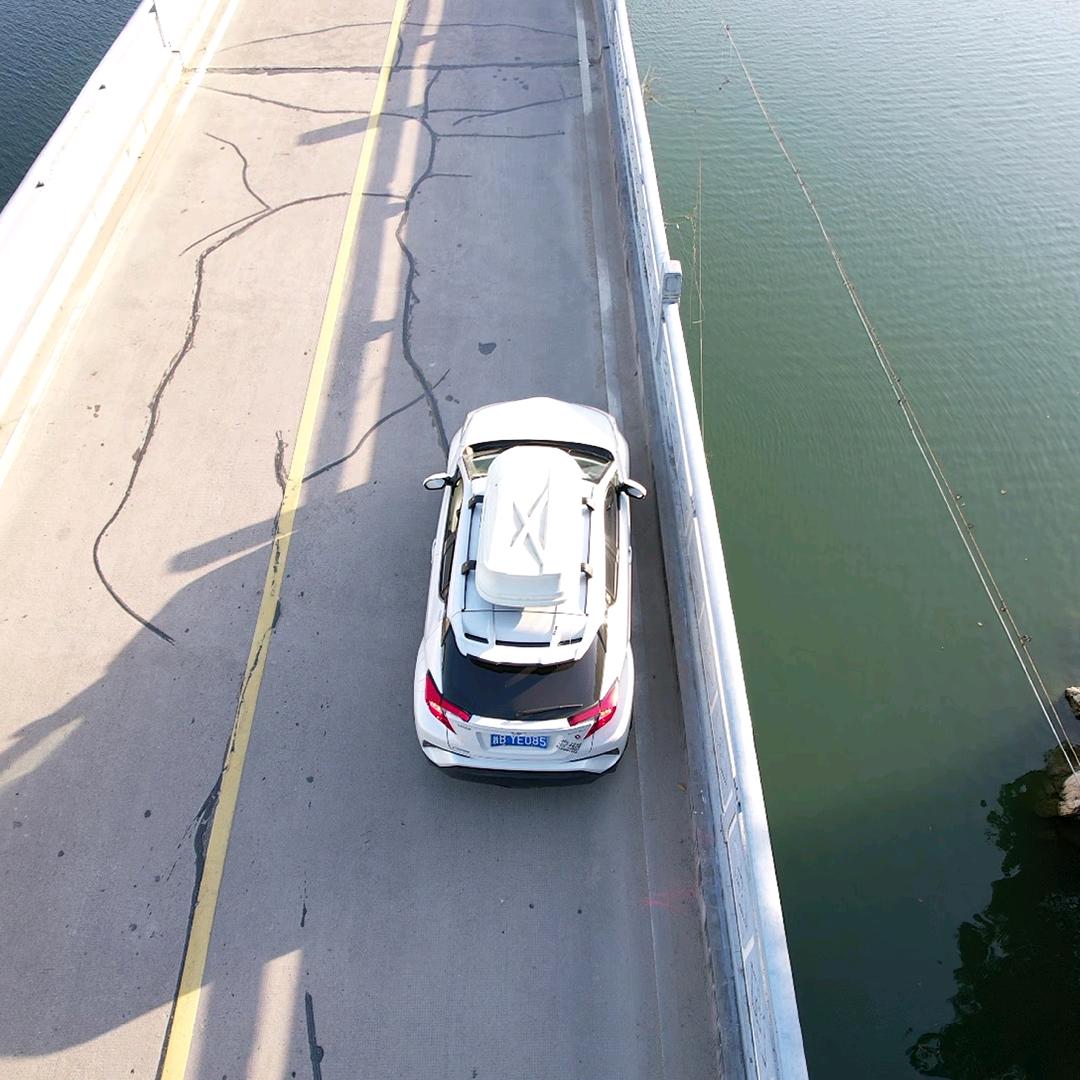 湘西最菜的野王