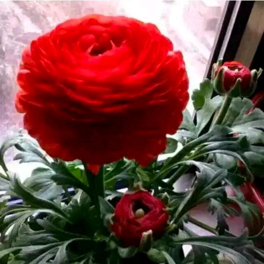 我的未来不是梦