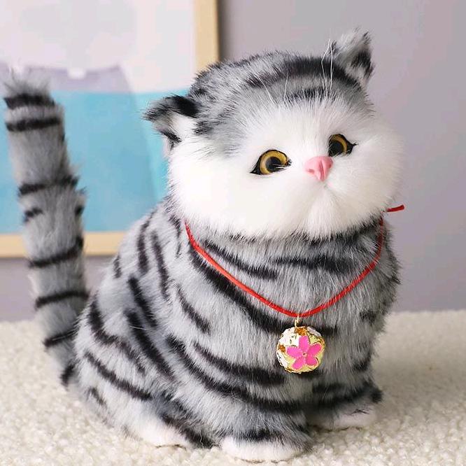 一叶知秋🦊🦊🦊🦊