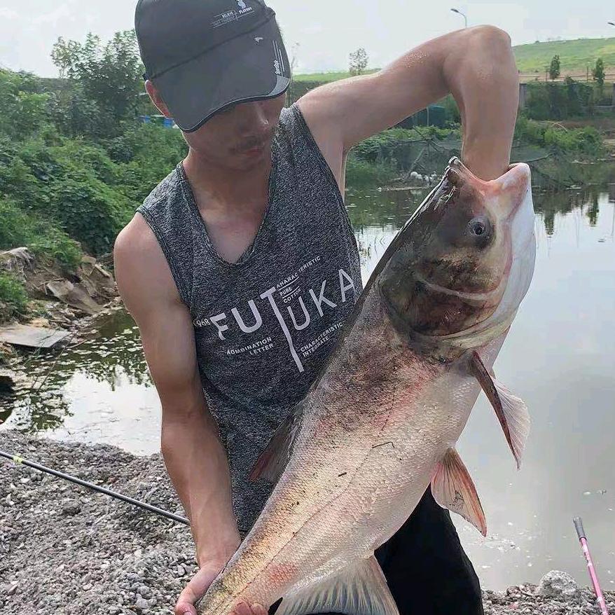 爱钓鱼的水电工（青岛市）