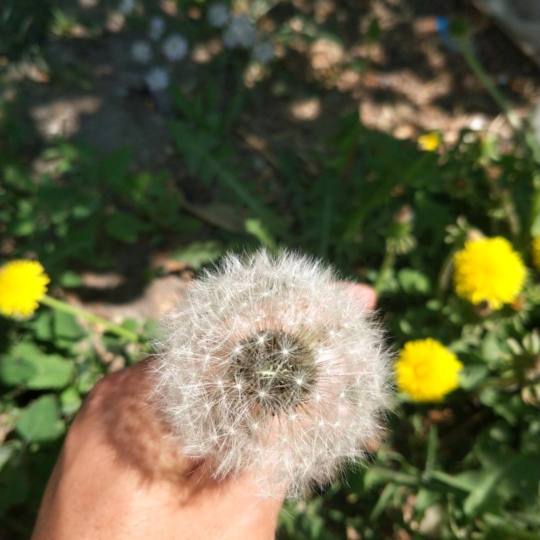 烂酒煽情