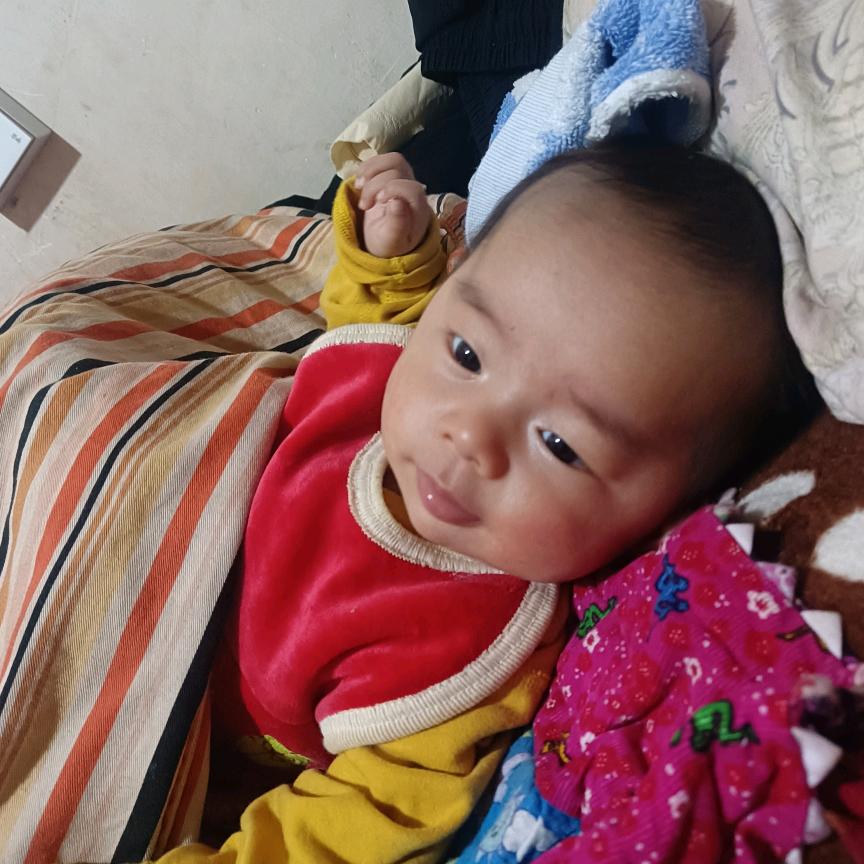 精品兽药   ……朱恩