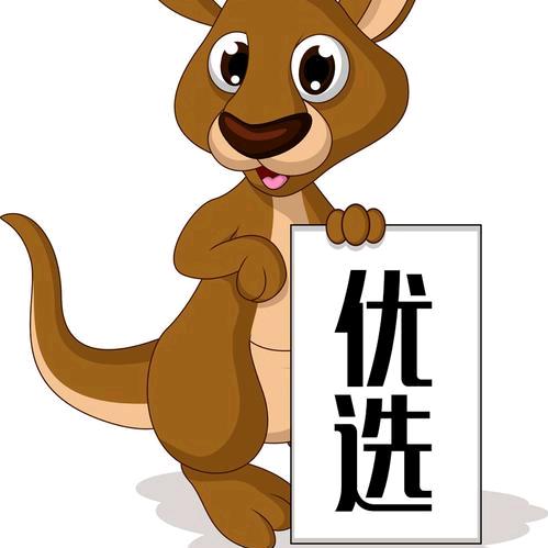 skl饰品轻奢时尚