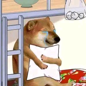 AAA柳叶刀批发梦姐