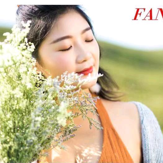 安园大码女装精选