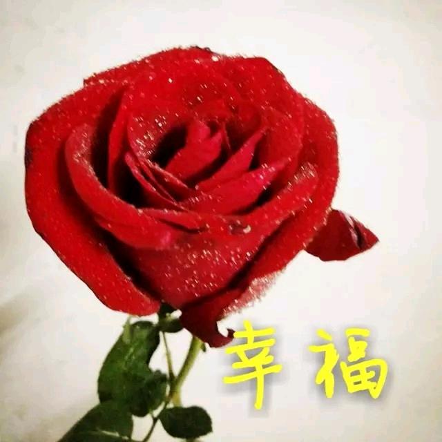 jing