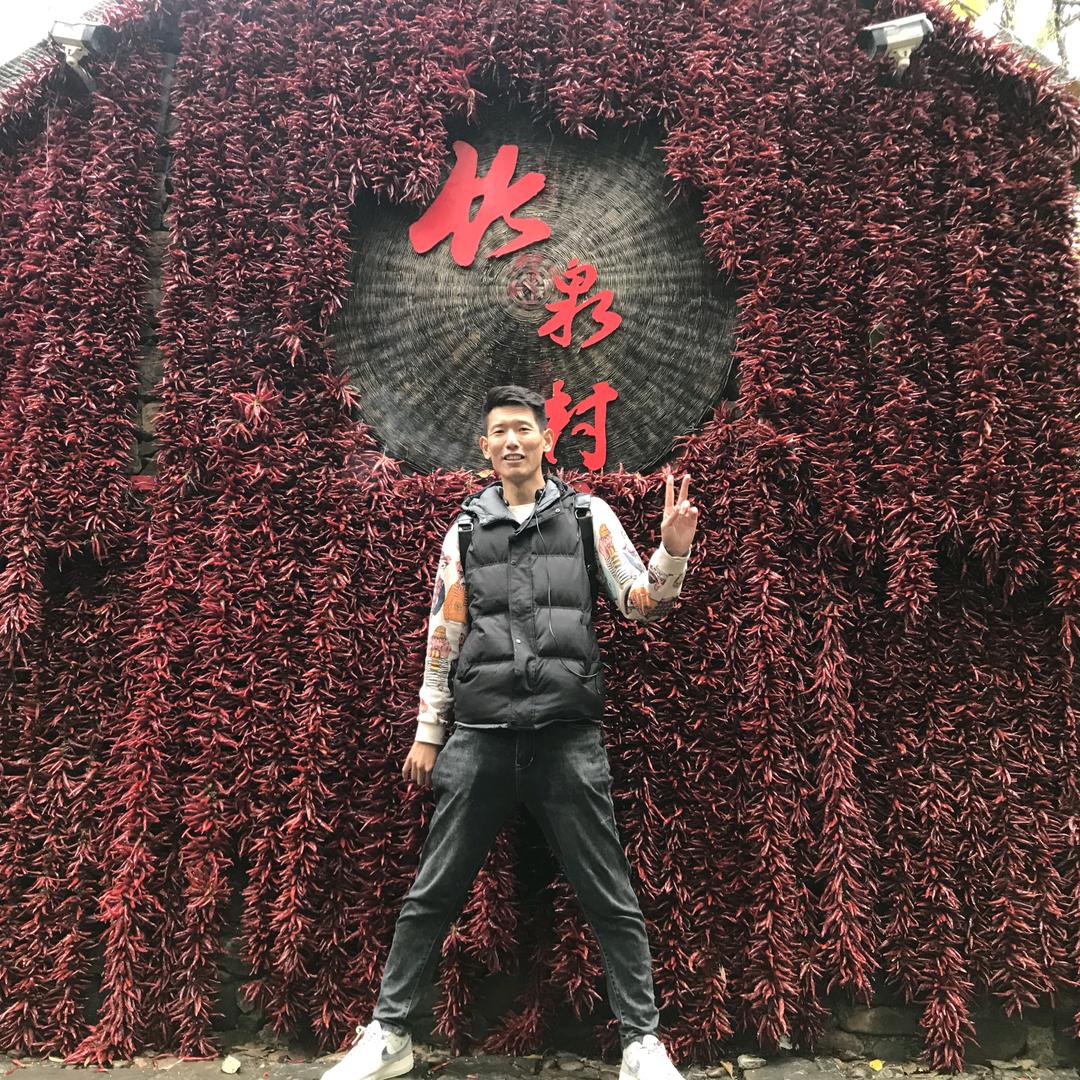 天线寶寶
