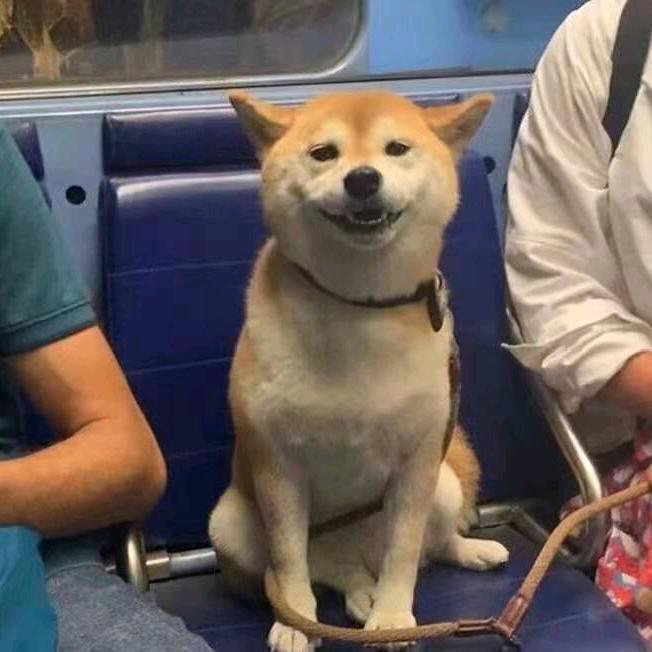 是个人  没错