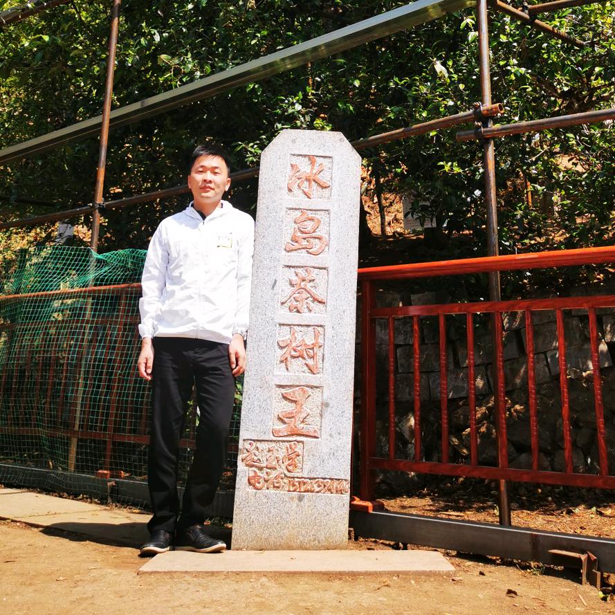 江哥说普洱