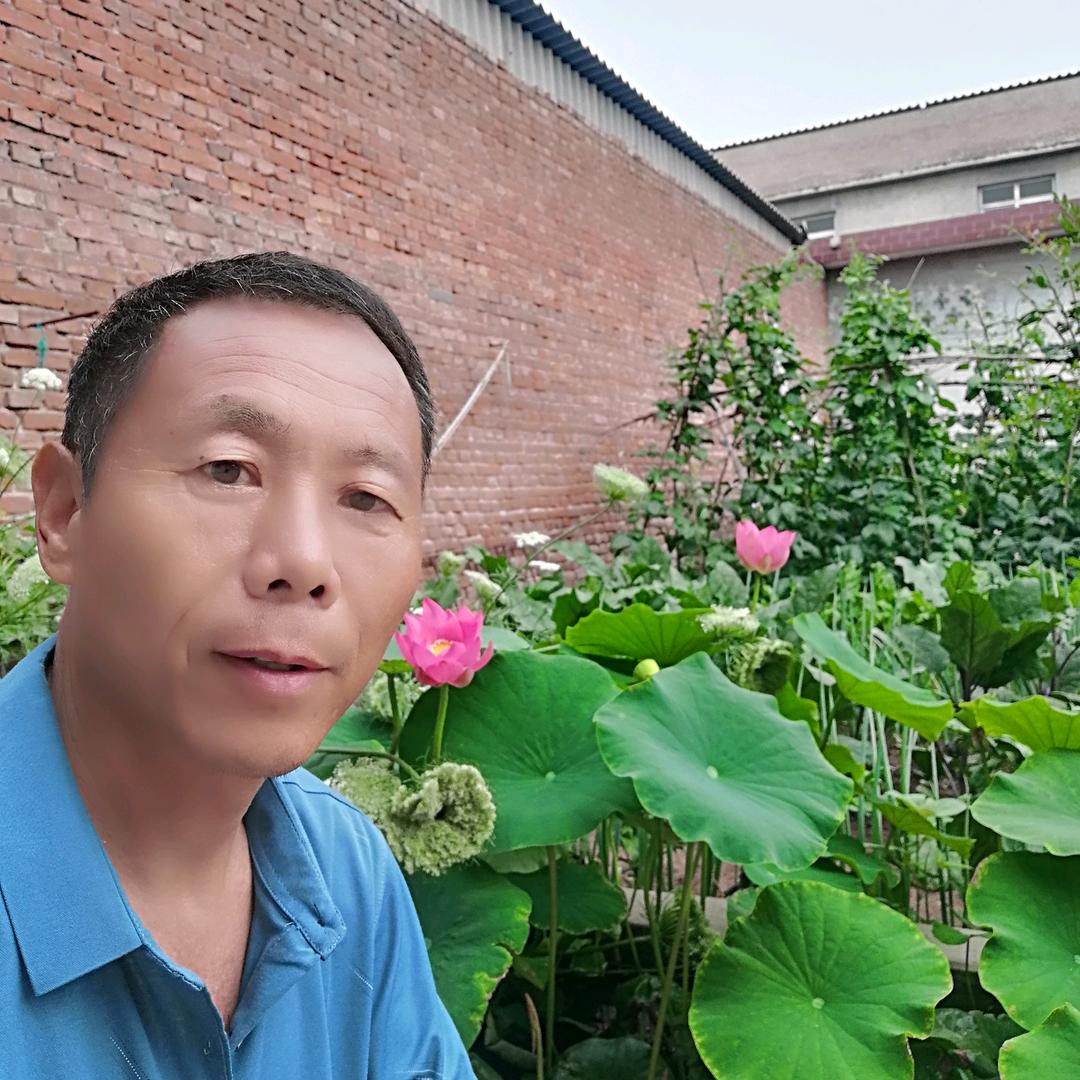 铺砖王哥